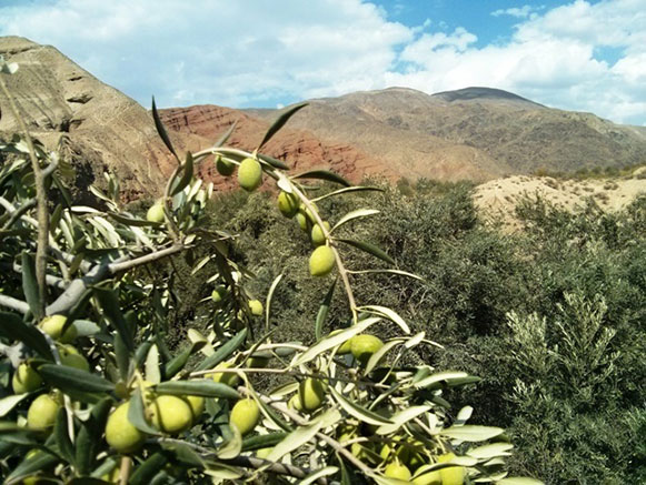 روستای شیت زنجان