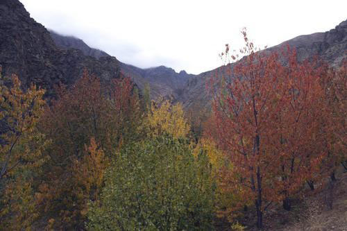 روستای شیت زنجان