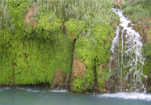 تنگ بی بی سیدان سمیرم