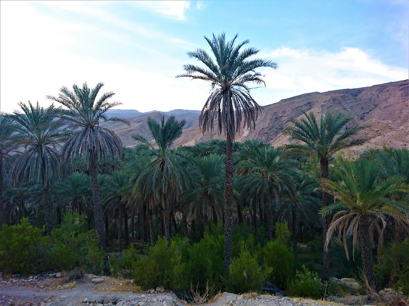 روستای بناب هرمزگان