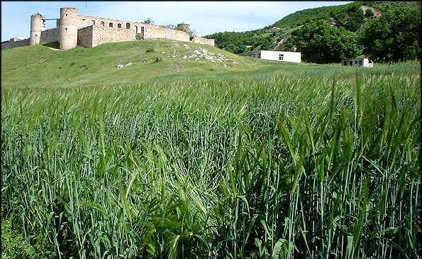 عمارت و کلیسای تومانیانس