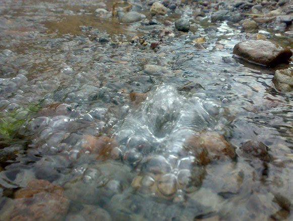 شور سو مراغه
