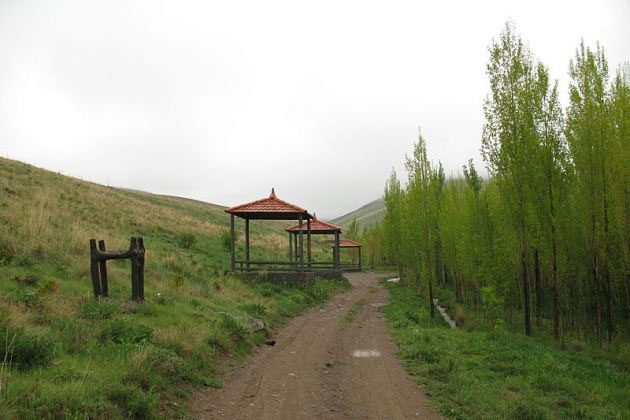 ساپلاق هریس