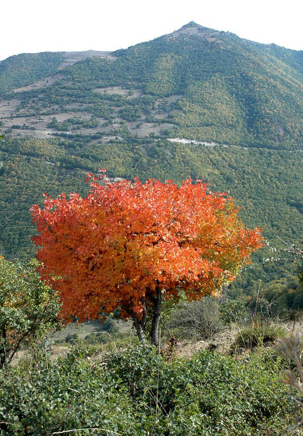 قلعه دره سی کلیبر