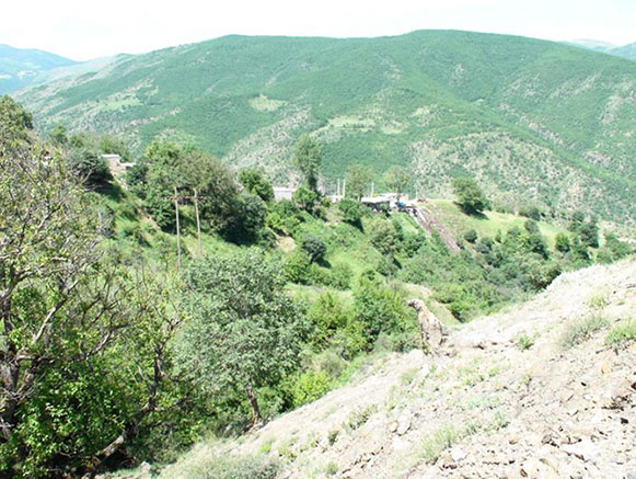 ناپشته کلیبر