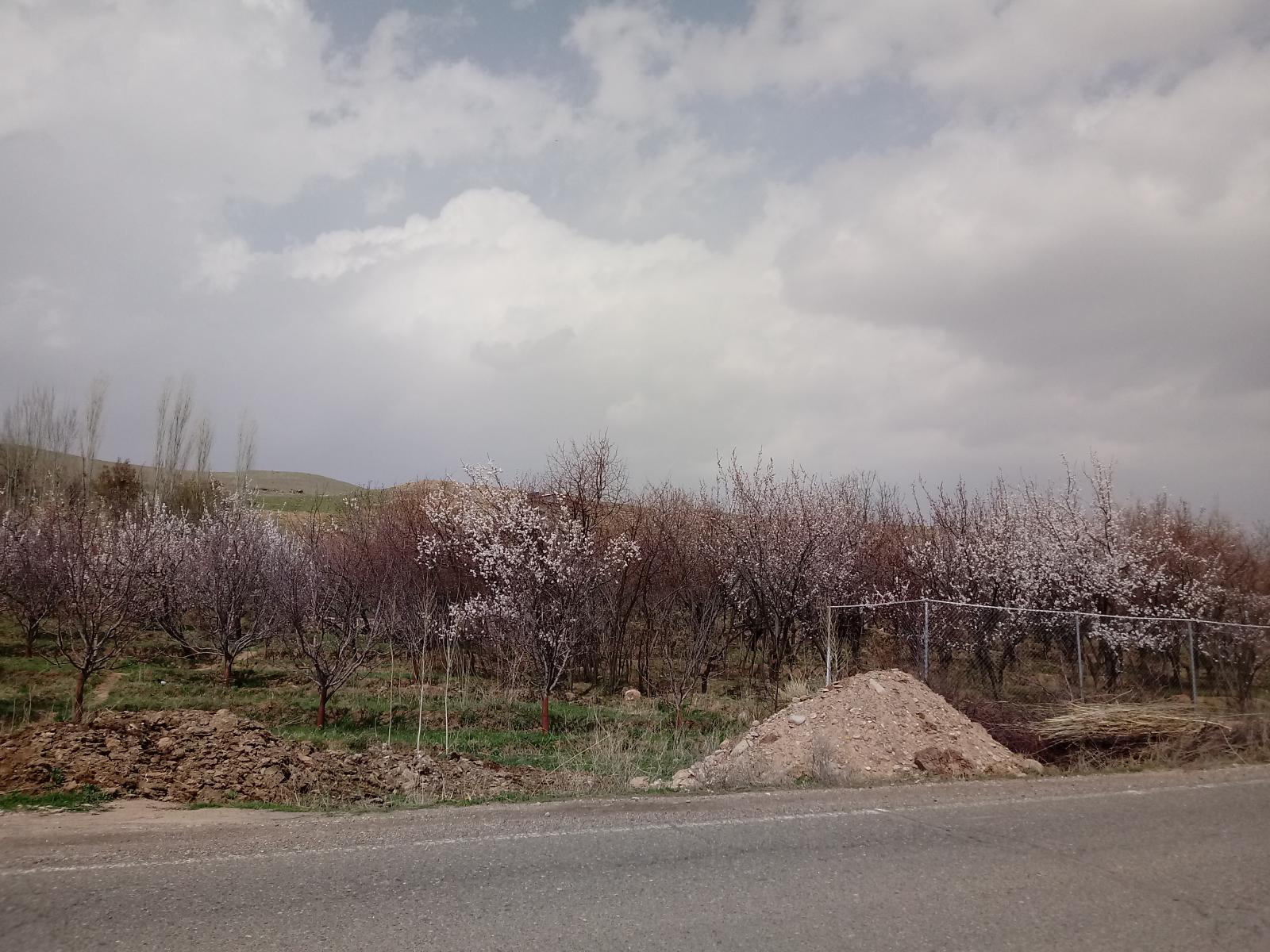 ماهار زنوز