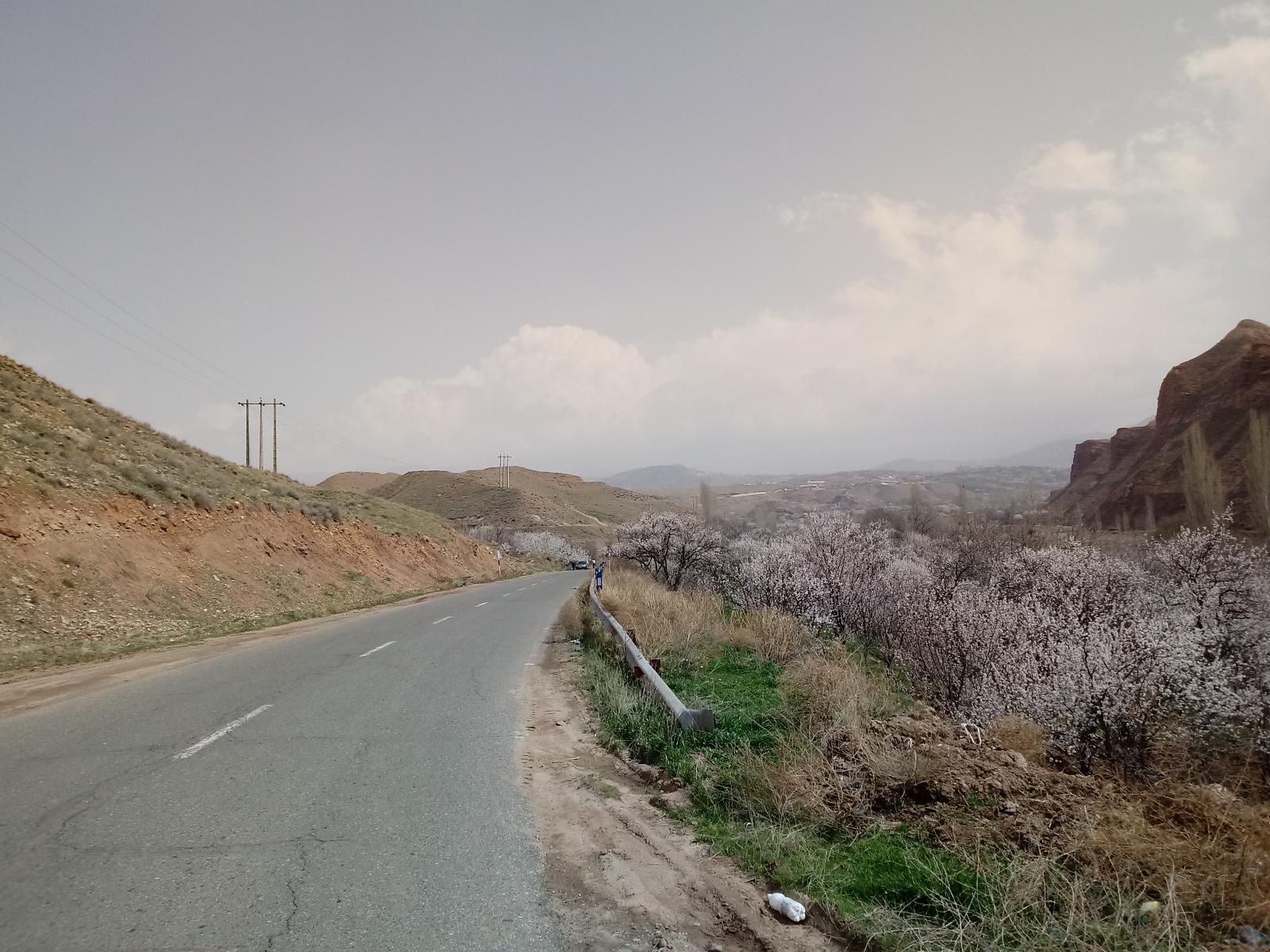 ماهار زنوز