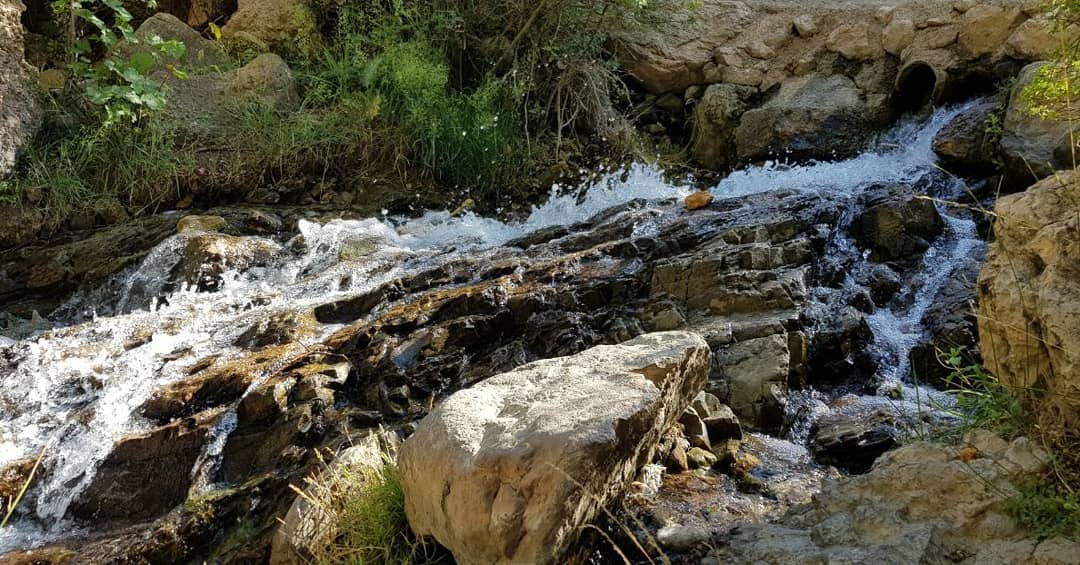چشمه انگورستانی دامغان