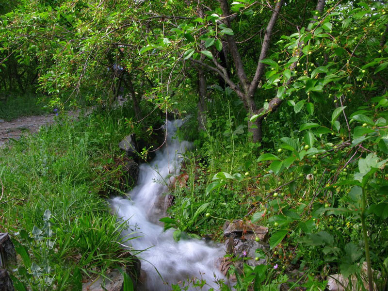 باغرود نیشابور