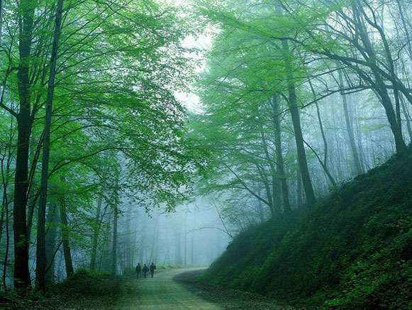 درازنو گلستان