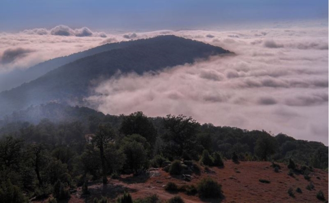 درازنو گلستان