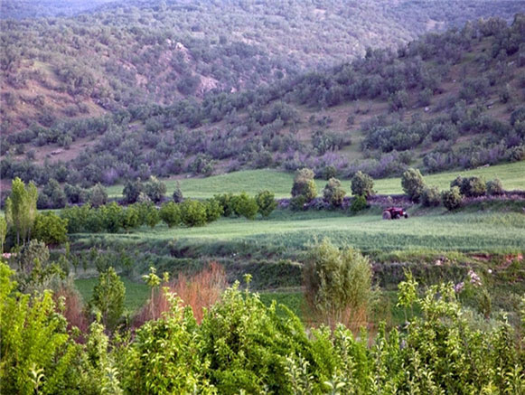 روستای پیران