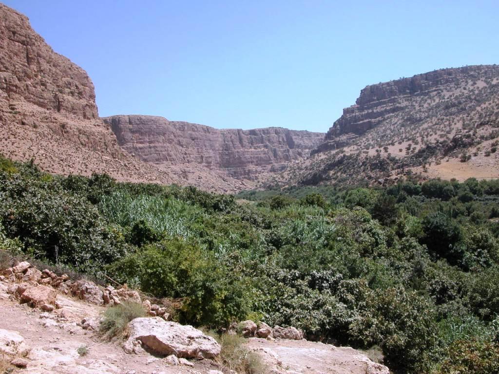 روستای پیران