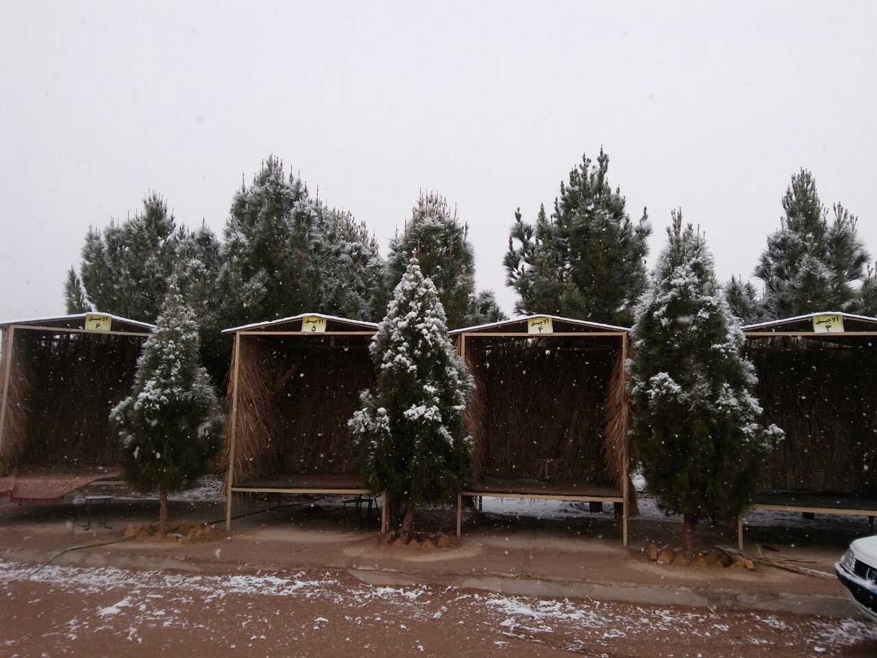 کویر کاراکال یزد