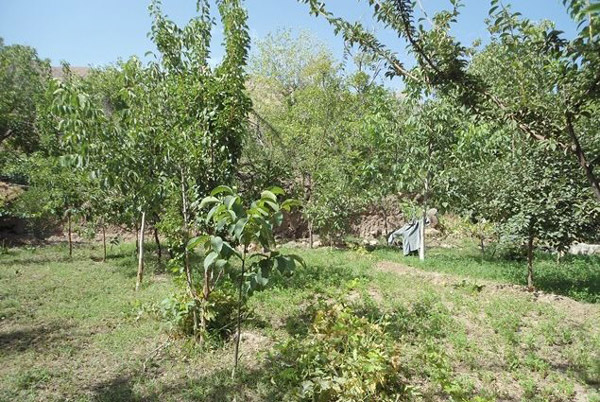 روستای سنو