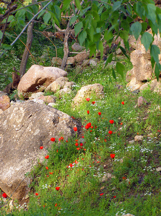 سنو روستایی ییلاقی در خراسان‌رضوی