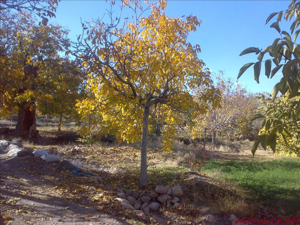 روستای سنو