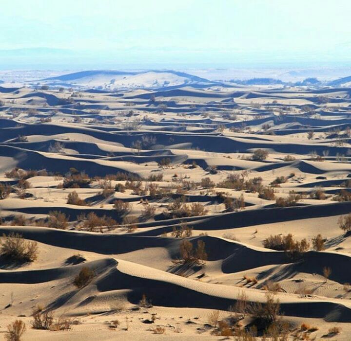 کویر ابوزیدآباد