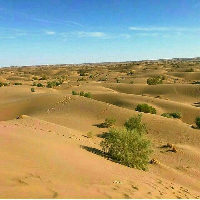 کویر ابوزیدآباد