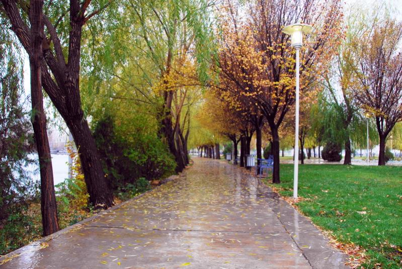 پارک ساحلی زرین شهر