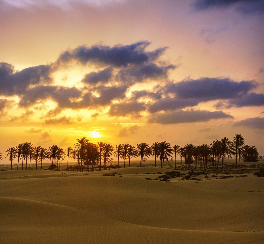 سواحل درک کنارک