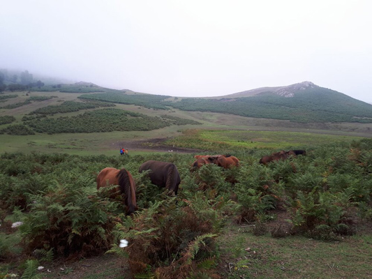 روستای فارسیان گلستان