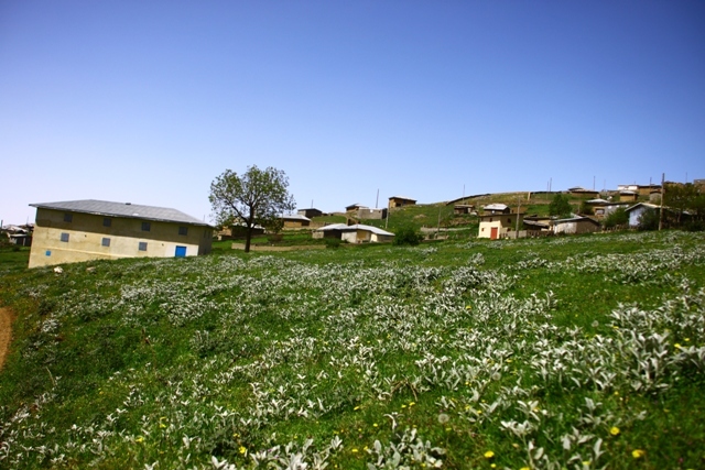 جواهردشت رودسر