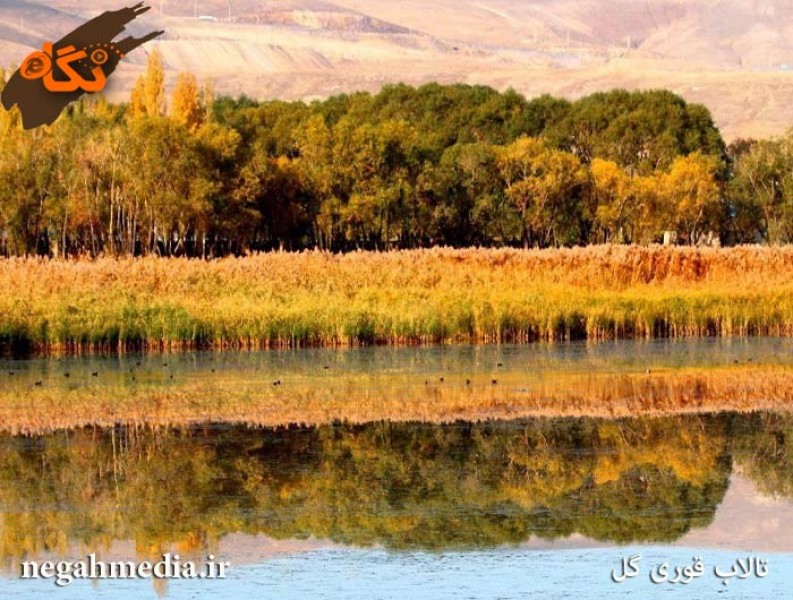 تالاب قوری گئول