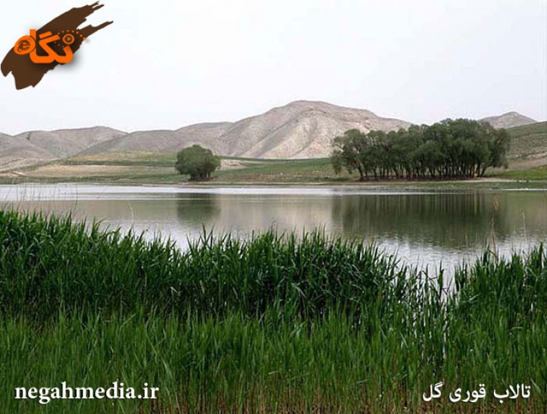 تالاب قوری گئول
