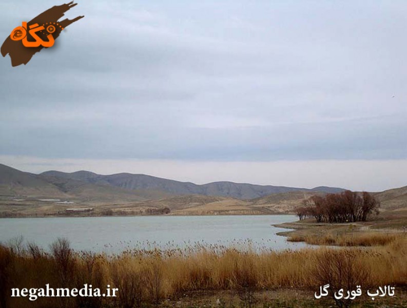 تالاب قوری گئول