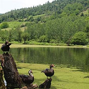 دریاچه حلیمه جان رودبار