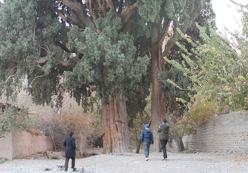 روستای سیرچ کرمان
