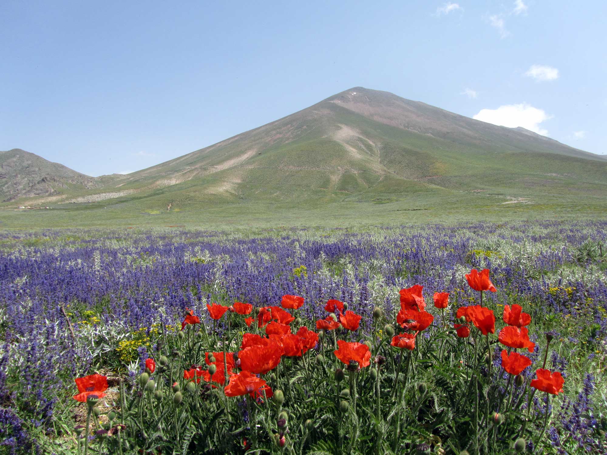 رشته کوه سهند