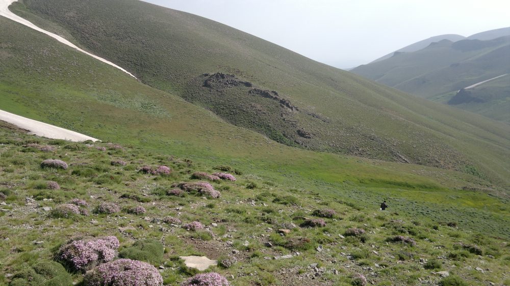 رشته کوه سهند