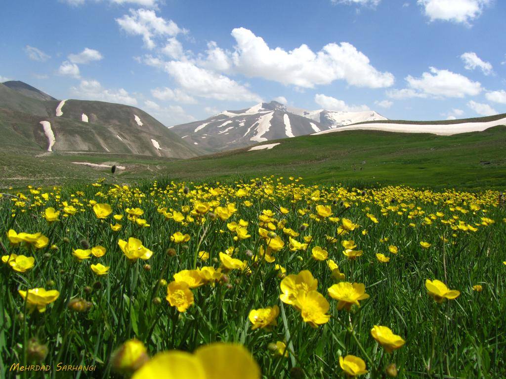 رشته کوه سهند
