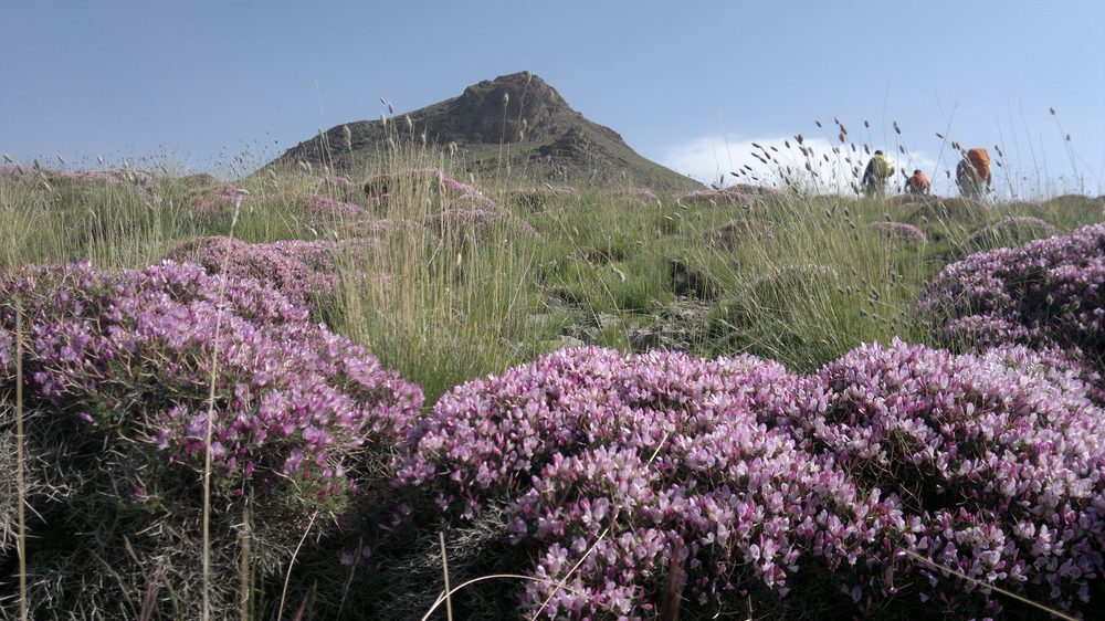 رشته کوه سهند