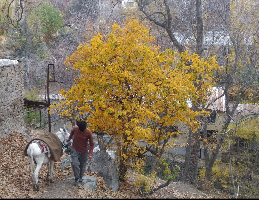 روستای واریان البرز