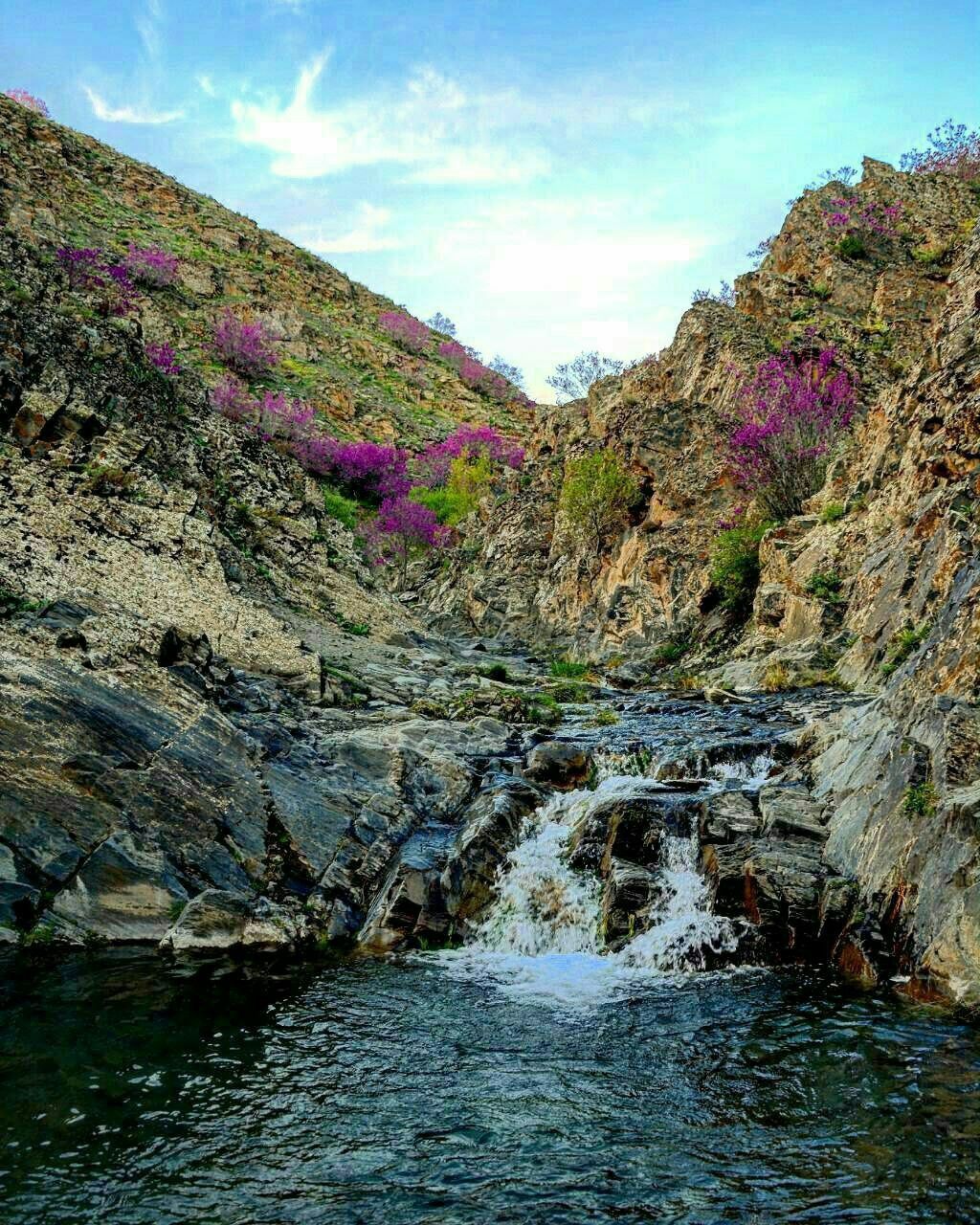 ارغوان تمیزترین دره ایران 