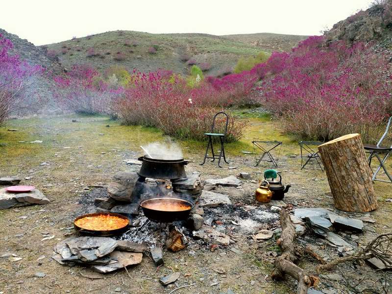 دره ارغوان طرقبه