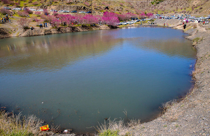 دره ارغوان طرقبه