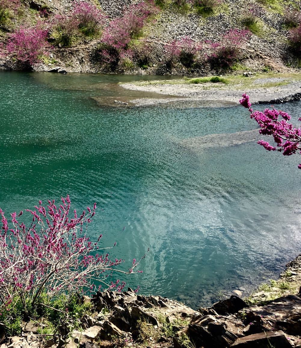 دره ارغوان طرقبه