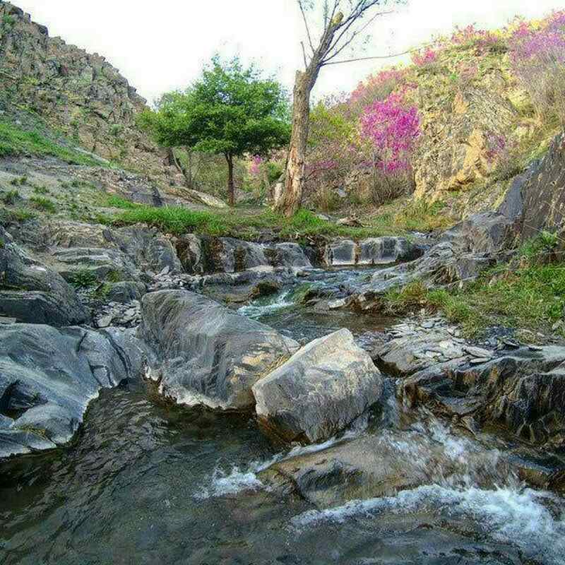 ارغوان تمیزترین دره ایران 