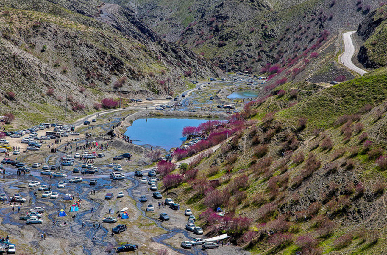 دره ارغوان طرقبه