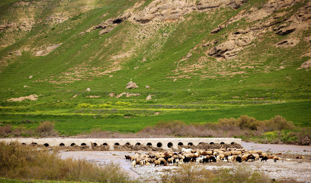 شیلگان دره درگز