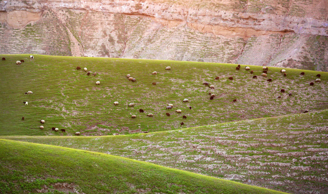 شیلگان دره درگز