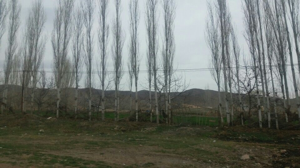 ارزانسراهای چایپاره