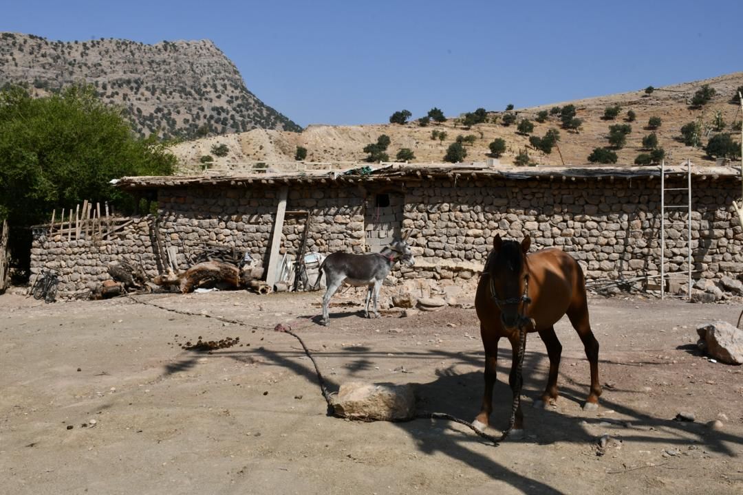 اقامتگاه بوم گردی پاپیلا روستای سوسن