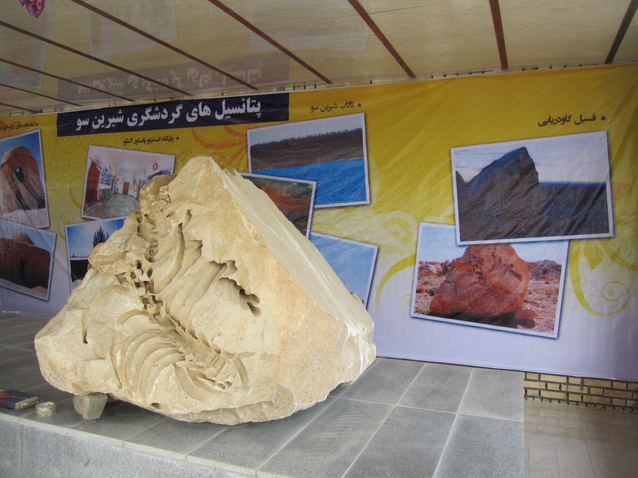 موزه فسیل شیرین سو