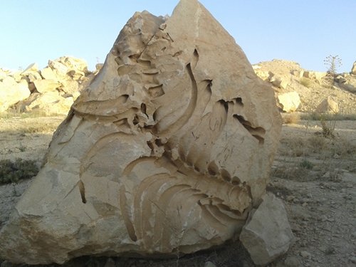 موزه فسیل شیرین سو
