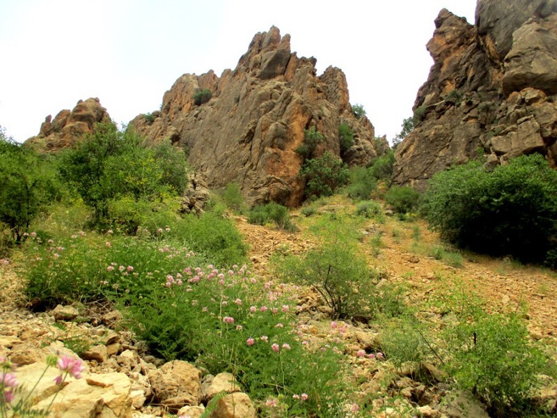 چشمه ناز ونک سمیرم